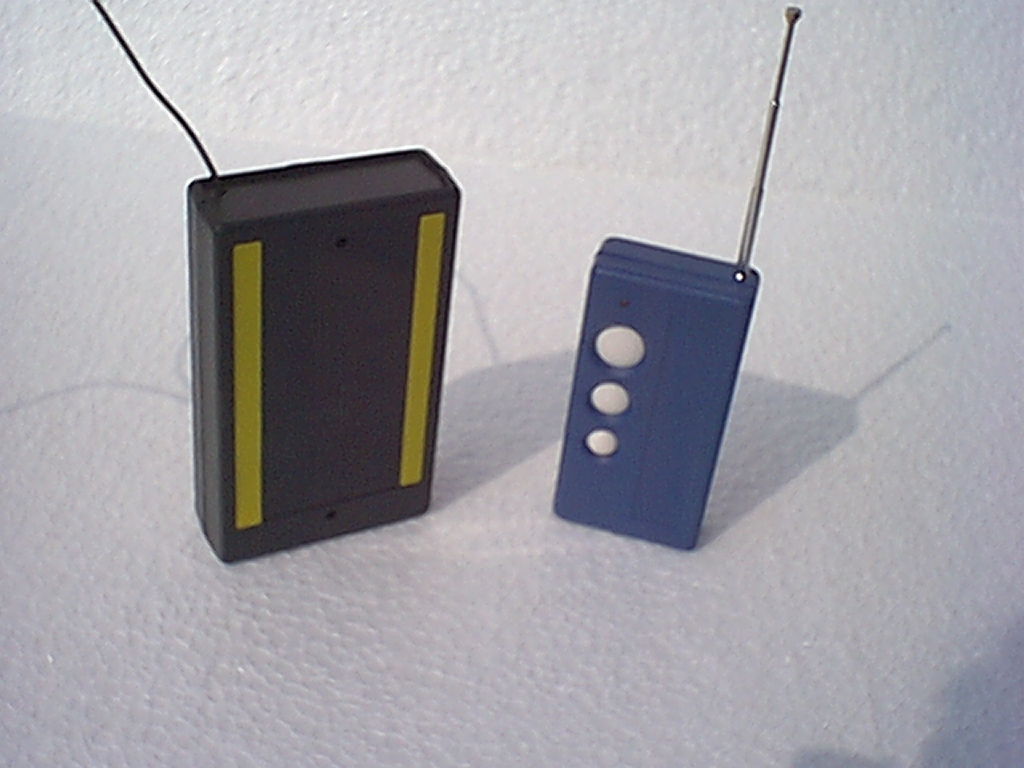Garage Door Remote